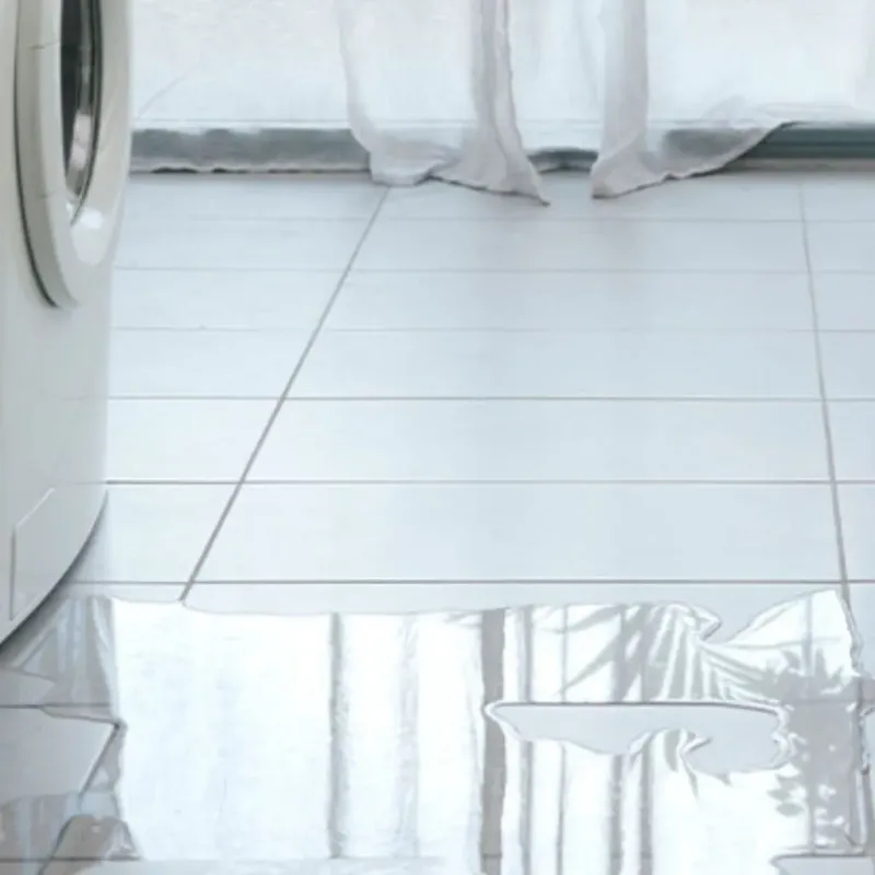 Appliance Leak Cleanup in Decatur, MI