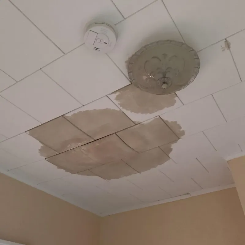 Ceiling Water Damage Repair in Decatur, MI