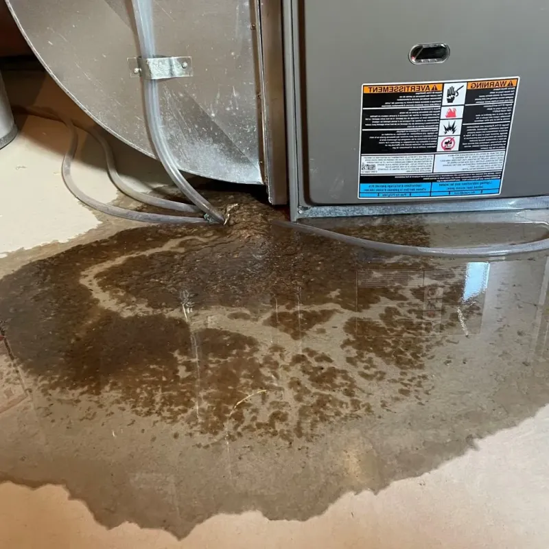 Pipe Burst and Leak Restoration in Decatur, MI