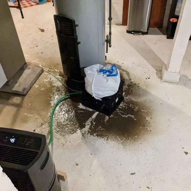 Sewage Backup Cleanup Service in Decatur, MI